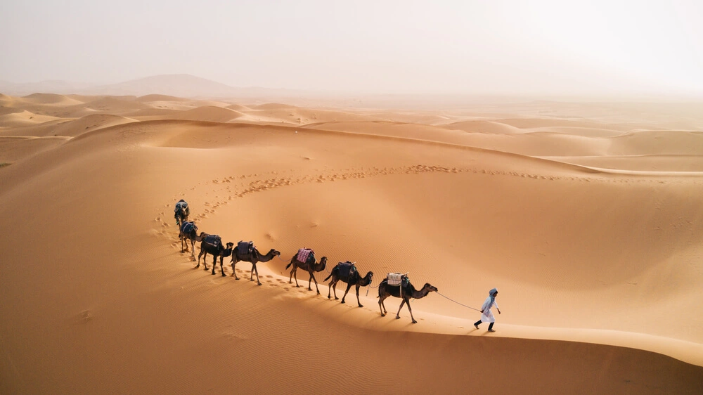 3 Days Desert Tour from Fes to Marrakech.