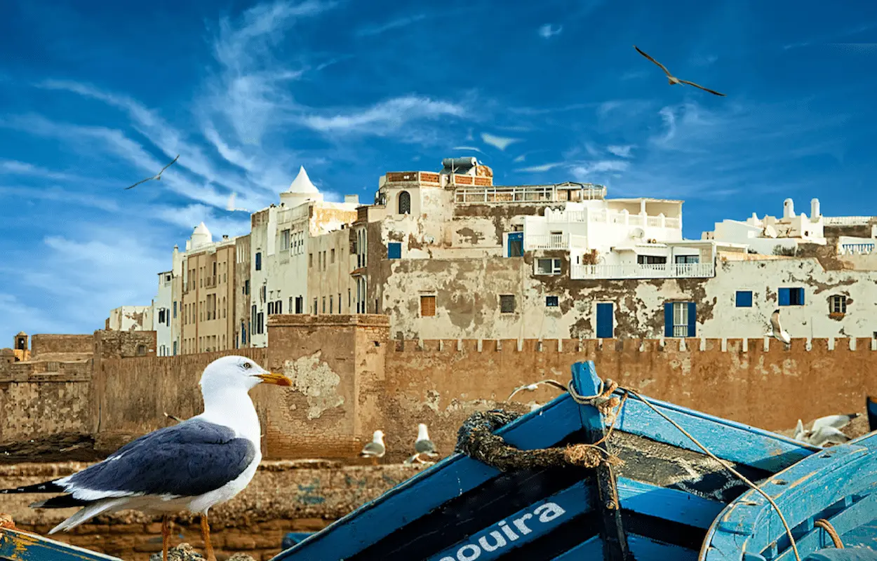 Gran Tour de 16 Días por Marruecos desde Casablanca